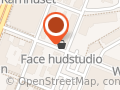 Face Hudstudio