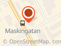 Din Taxi X1