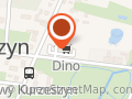 Market Dino
