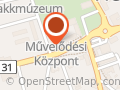 GYÖNGYHÁZ ÓRA ÉKSZER