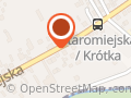Yeti. Hurtownia lodów i mrożonek