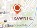 OSOBOWE USŁUGI TRANSPORTOWE