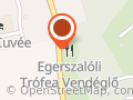 Vidám harcsa kemencés csárda