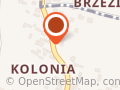 OCHOTNICZA STRAŻ POŻARNA W DZIEBAŁTOWIE