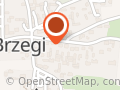 Polski Koncern Naftowy Orlen S.a. Stacja Paliw