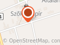 Dr. Török Lászlóné