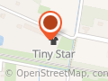 Tiny Star