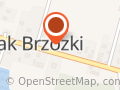 Nowakowski Paweł. Usługi transportowe