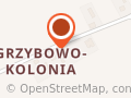 AUTOWIS