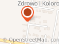 Firma Górnicza Solgór. Antoni Cichostępski