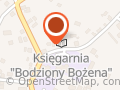 Mechanika i Blacharstwo Samochodowe Grzegorz Bodziony