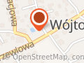 Ol-Flora. Import i hurtowa sprzedaż kwiatów ciętych