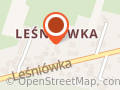 Prawda o Hashimoto