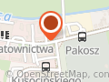 Autotransport. Usługi handlowo - transportowe. Transport ciężki