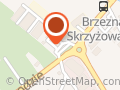 Dywaneo - sklep z dywanami,dywanikami łazienkowymi, wycieraczkami i wykładzinami