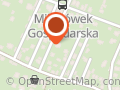 RADOSŁAW WIELECHOWSKI ALFA