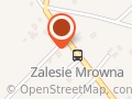 Picole pod Papugą. Kotow A.