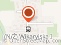 Anna Opoka Weselna Wyprawka