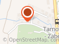 Zaremba Janina. Tokarstwo drzewne