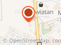Olesiak Jan. Przewozy autokarowe