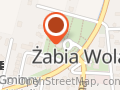 Akademia Sportu Żabia Wola