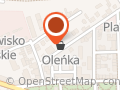 Ozga. Blacharstwo, Dekarstwo, Konserwacja Dachów