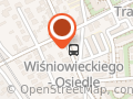 Taxi. Taksówki Bagażowe. Radzik K.