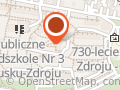 FIRMA USŁUGOWA INTRONET