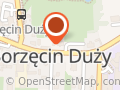 Parafia św. Wincentego Ferreriusza w Borzęcinie Dużym