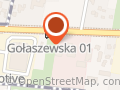 Systemy Zabezpieczeń Ładunków - Vika