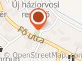 Zöldpatika