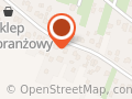 NAPRAWA POJAZDÓW SAMOCHODOWYCH WASILEWSKI MARCIN