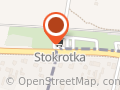 Stokrotka