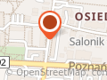 Modisto. Hodowla psów rasowych Chihuahua
