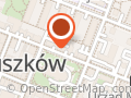Towarowa Spedycja Międzynarodowa Maspol. Sylwia Majorkiewicz