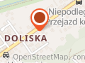 Hurtownia Kwiatów Sztucznych "Dota"