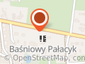 Niepubliczne Przedszkole " Baśniowy Pałacyk"