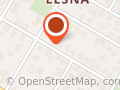 Woźniak Teodora. Biuro Biegłego Rewidenta