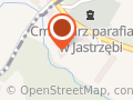 Alsteel producent ogrodzeń