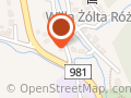 Polski Koncern Naftowy Orlen Sa. Stacja Paliw