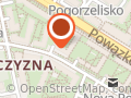 Nowoczesne piece i kominki wolnostojące na drewno i pellet wodtke Warszawa