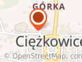 FIRMA HANDLOWO USŁUGOWA ALMA