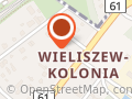 Leszek Skarżycki Wulkan