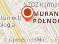 Wu-Shu Nan-Bei. Polsko - Chińskie Stowarzyszenie