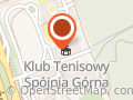 Jasskor. Żywice, farby, kleje