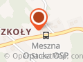 OSP Meszna Opacka