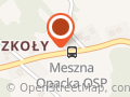 OCHOTNICZA STRAŻ POŻARNA W MESZNEJ OPACKIEJ