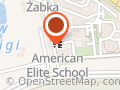 American Elite School