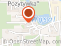 Pozytywka - hodowla labradorów