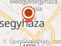 E-Szerviz